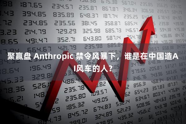 聚赢盘 Anthropic 禁令风暴下，谁是在中国造AI风车的人？