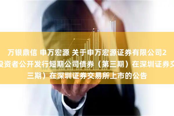 万银鼎信 申万宏源 关于申万宏源证券有限公司2025年面向专业投资者公开发行短期公司债券（第三期）在深圳证券交易所上市的公告