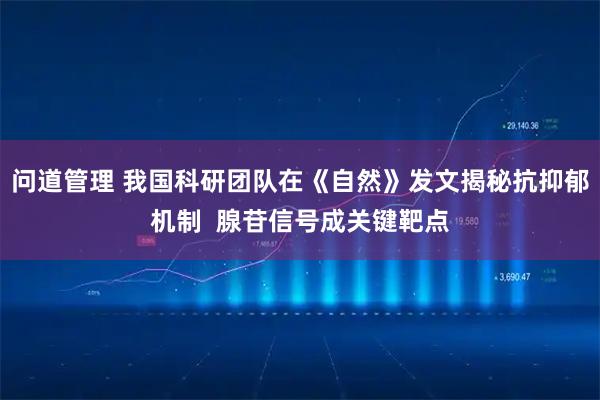 问道管理 我国科研团队在《自然》发文揭秘抗抑郁机制  腺苷信号成关键靶点