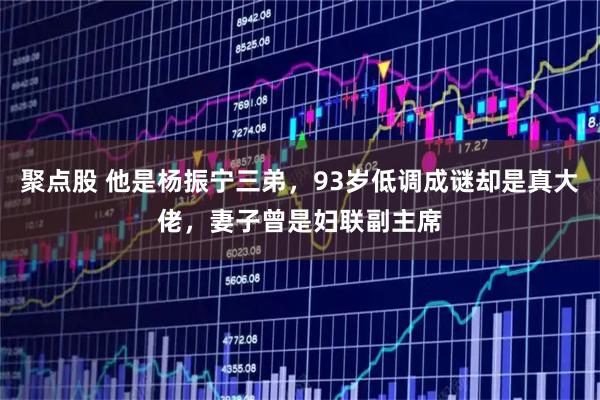 聚点股 他是杨振宁三弟，93岁低调成谜却是真大佬，妻子曾是妇联副主席